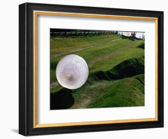 Zorbs People Moving Inside Balls on Lawn, Rotorua, New Zealand-John Banagan-Framed Photographic Print