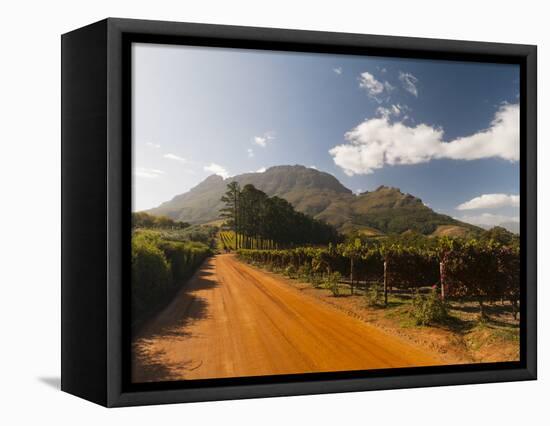 Zorgvliet Wine Estate, Stellenbosch, Cape Province, South Africa, Africa-Sergio Pitamitz-Framed Premier Image Canvas