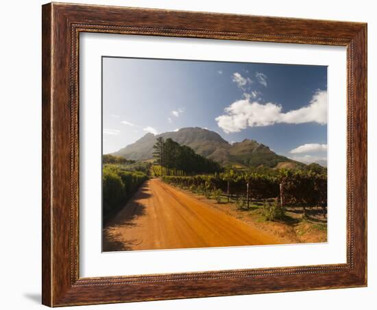 Zorgvliet Wine Estate, Stellenbosch, Cape Province, South Africa, Africa-Sergio Pitamitz-Framed Photographic Print