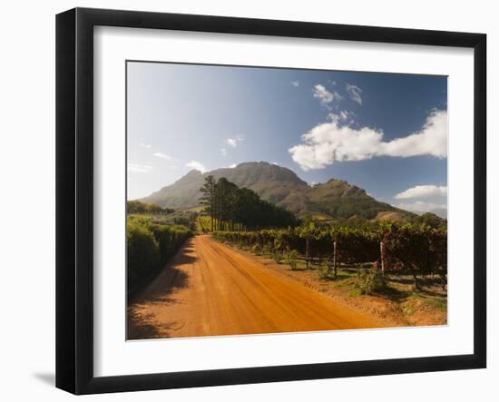 Zorgvliet Wine Estate, Stellenbosch, Cape Province, South Africa, Africa-Sergio Pitamitz-Framed Photographic Print