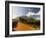 Zorgvliet Wine Estate, Stellenbosch, Cape Province, South Africa, Africa-Sergio Pitamitz-Framed Photographic Print