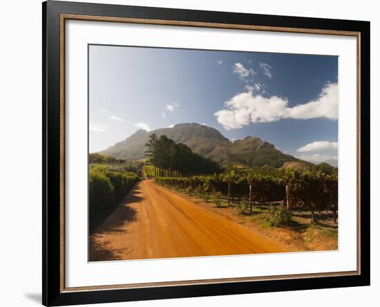 Zorgvliet Wine Estate, Stellenbosch, Cape Province, South Africa, Africa-Sergio Pitamitz-Framed Photographic Print