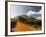 Zorgvliet Wine Estate, Stellenbosch, Cape Province, South Africa, Africa-Sergio Pitamitz-Framed Photographic Print