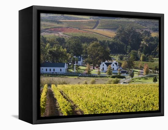 Zorgvliet Wine Estate, Stellenbosch, Cape Province, South Africa, Africa-Sergio Pitamitz-Framed Premier Image Canvas