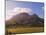 Zorgvliet Wine Estate, Stellenbosch, Cape Province, South Africa, Africa-Sergio Pitamitz-Mounted Photographic Print