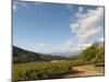 Zorgvliet Wine Estate, Stellenbosch, Cape Province, South Africa, Africa-Sergio Pitamitz-Mounted Photographic Print