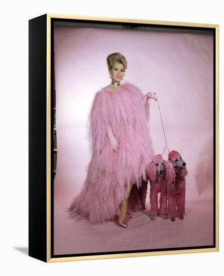 Zsa Zsa Gabor-null-Framed Stretched Canvas