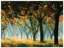 Fall Forest-Zsolnai-Mounted Art Print