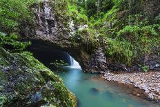 Couple Exploring in the Lush Lamington National Park, Queensland-zstockphotos-Photographic Print