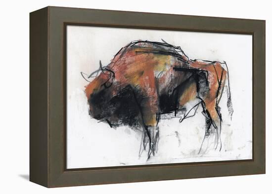 Zubre, Bialowieza-Mark Adlington-Framed Premier Image Canvas