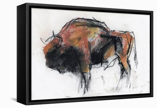 Zubre, Bialowieza-Mark Adlington-Framed Premier Image Canvas