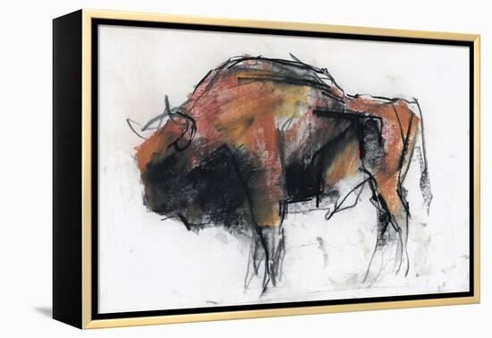 Zubre, Bialowieza-Mark Adlington-Framed Premier Image Canvas