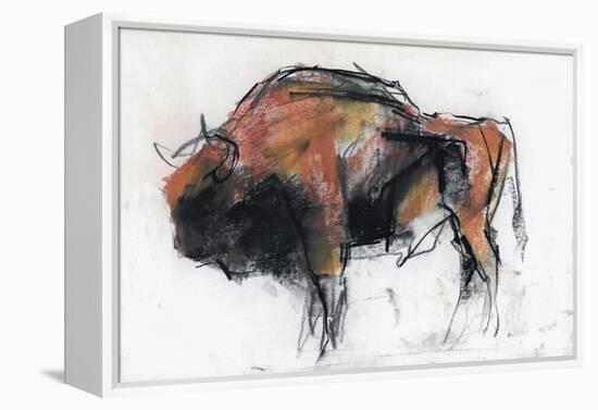 Zubre, Bialowieza-Mark Adlington-Framed Premier Image Canvas