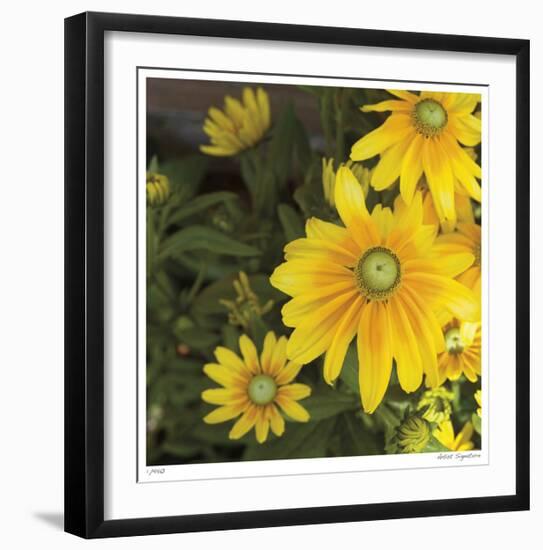 Zucchini Flowers-Stacy Bass-Framed Giclee Print