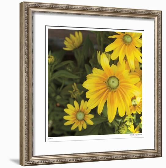 Zucchini Flowers-Stacy Bass-Framed Giclee Print