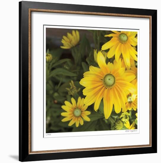 Zucchini Flowers-Stacy Bass-Framed Giclee Print