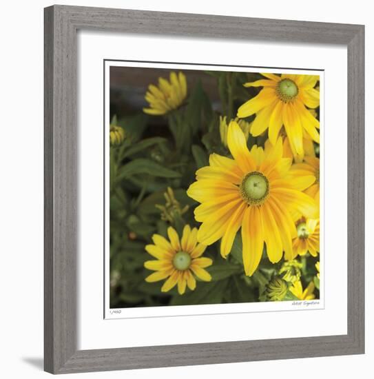 Zucchini Flowers-Stacy Bass-Framed Giclee Print