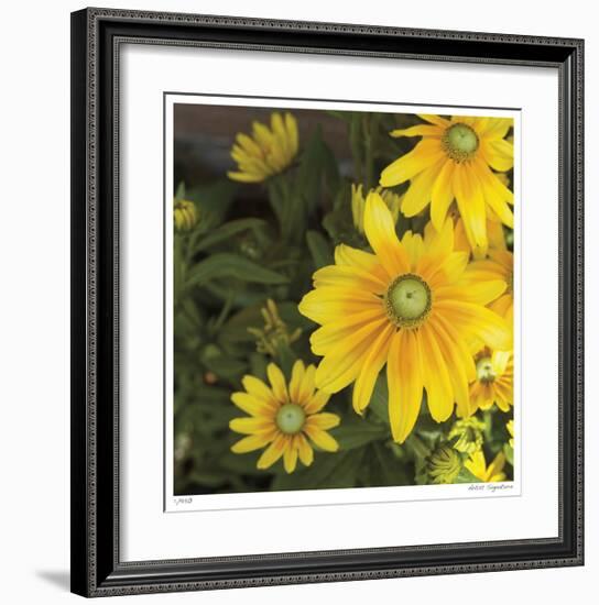 Zucchini Flowers-Stacy Bass-Framed Giclee Print