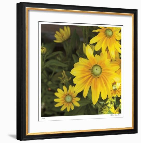 Zucchini Flowers-Stacy Bass-Framed Giclee Print