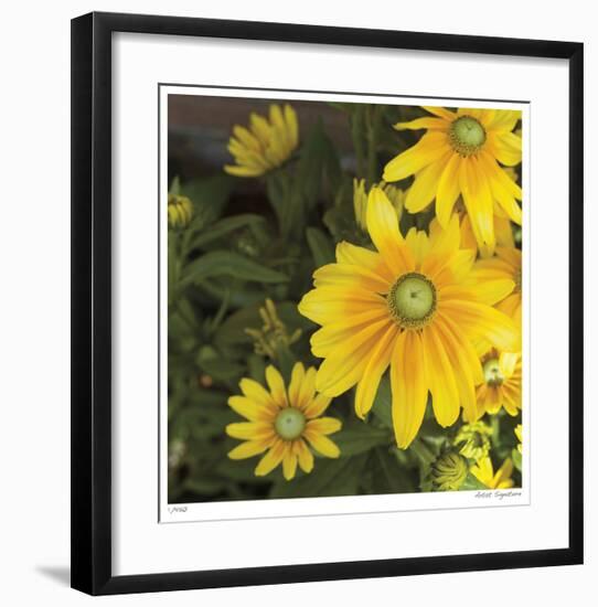 Zucchini Flowers-Stacy Bass-Framed Giclee Print