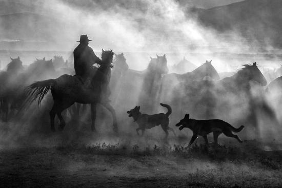 Photographic Print, , large