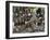 Zulu Tribal Dance Group, Dumazula Cultural Village, South Africa, Africa-Peter Groenendijk-Framed Photographic Print