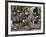 Zulu Tribal Dance Group, Dumazula Cultural Village, South Africa, Africa-Peter Groenendijk-Framed Photographic Print