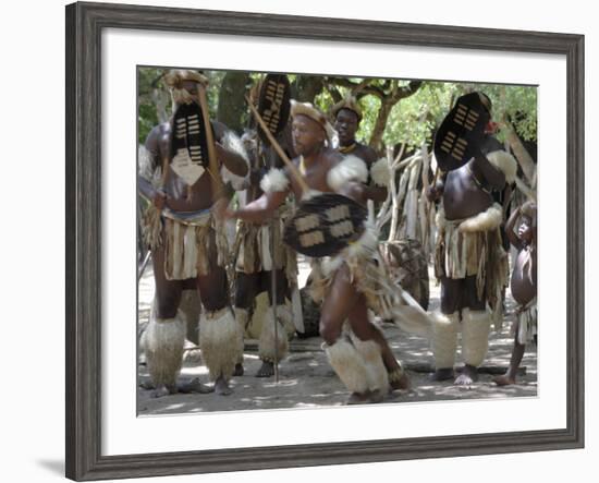 Zulu Tribal Dance Group, Dumazula Cultural Village, South Africa, Africa-Peter Groenendijk-Framed Photographic Print