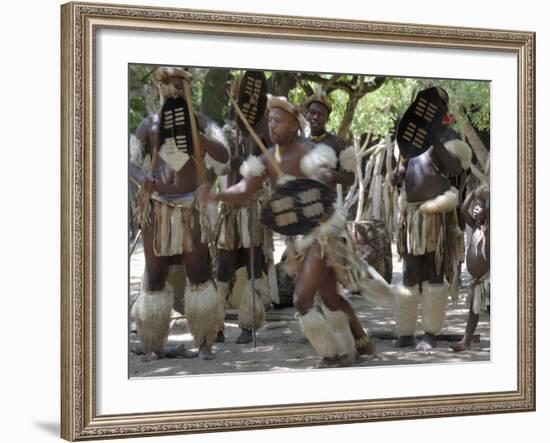 Zulu Tribal Dance Group, Dumazula Cultural Village, South Africa, Africa-Peter Groenendijk-Framed Photographic Print