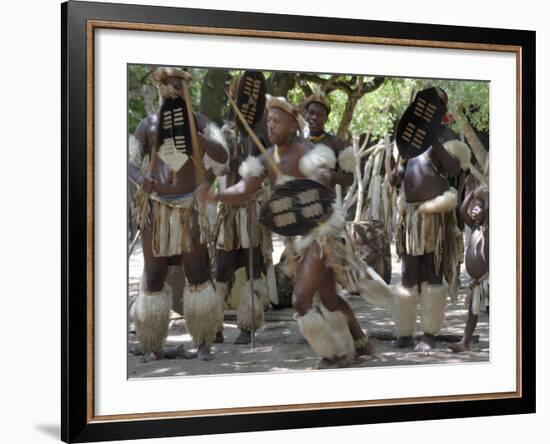 Zulu Tribal Dance Group, Dumazula Cultural Village, South Africa, Africa-Peter Groenendijk-Framed Photographic Print