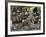 Zulu Tribal Dance Group, Dumazula Cultural Village, South Africa, Africa-Peter Groenendijk-Framed Photographic Print