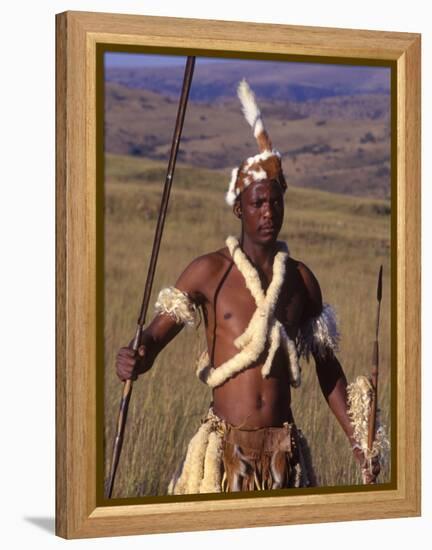 Zulu Warrior in Traditional Dress with Fighting Spear-John Warburton-lee-Framed Premier Image Canvas