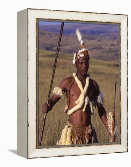 Zulu Warrior in Traditional Dress with Fighting Spear-John Warburton-lee-Framed Premier Image Canvas