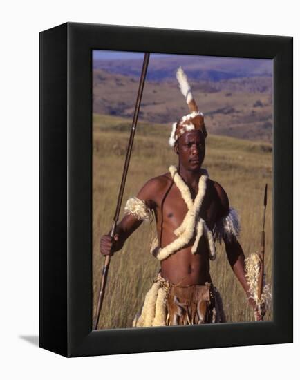 Zulu Warrior in Traditional Dress with Fighting Spear-John Warburton-lee-Framed Premier Image Canvas