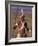 Zulu Warrior in Traditional Dress with Fighting Spear-John Warburton-lee-Framed Photographic Print