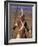 Zulu Warrior in Traditional Dress with Fighting Spear-John Warburton-lee-Framed Photographic Print