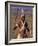 Zulu Warrior in Traditional Dress with Fighting Spear-John Warburton-lee-Framed Photographic Print