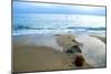 Zuma Beach, Ca-Lori Hutchison-Mounted Photographic Print