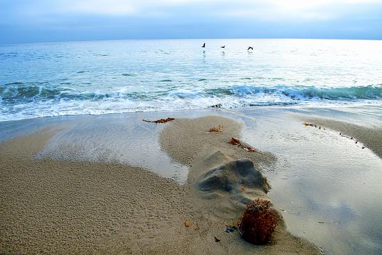 Zuma Beach Ca Photographic Print By Lori Hutchison Art