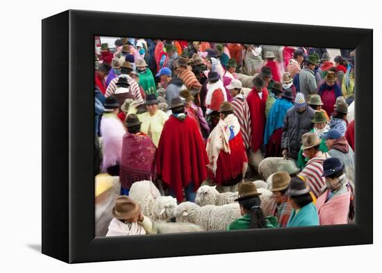 Zumbahua Animal Market, Zumbahua, Near Latacunga, Ecuador-Peter Adams-Framed Premier Image Canvas