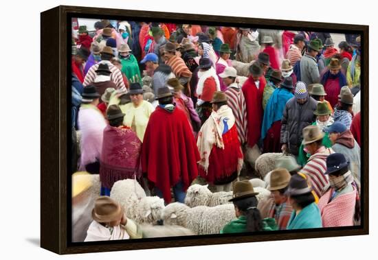 Zumbahua Animal Market, Zumbahua, Near Latacunga, Ecuador-Peter Adams-Framed Premier Image Canvas