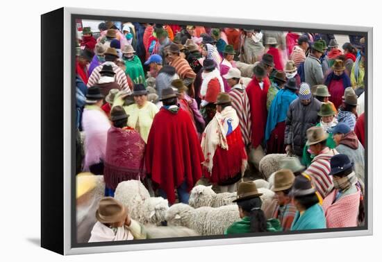 Zumbahua Animal Market, Zumbahua, Near Latacunga, Ecuador-Peter Adams-Framed Premier Image Canvas