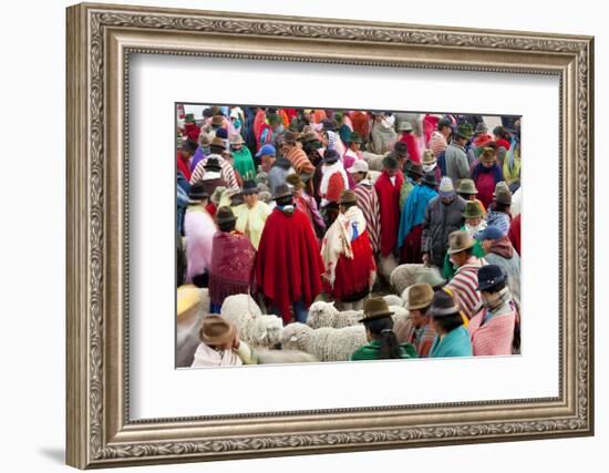 Zumbahua Animal Market, Zumbahua, Near Latacunga, Ecuador-Peter Adams-Framed Photographic Print