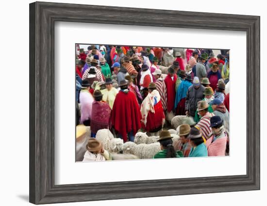 Zumbahua Animal Market, Zumbahua, Near Latacunga, Ecuador-Peter Adams-Framed Photographic Print