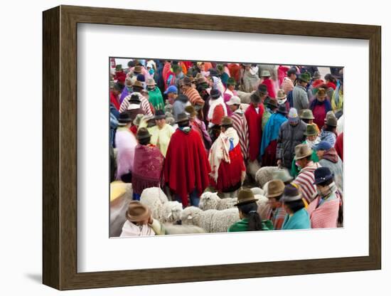 Zumbahua Animal Market, Zumbahua, Near Latacunga, Ecuador-Peter Adams-Framed Photographic Print