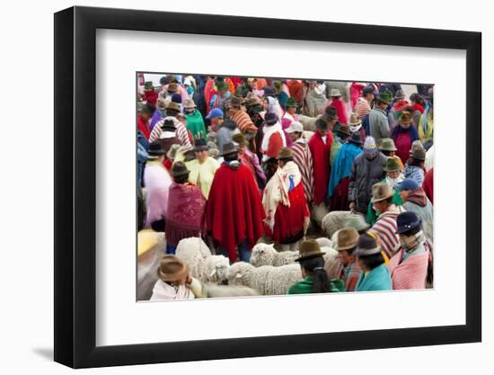 Zumbahua Animal Market, Zumbahua, Near Latacunga, Ecuador-Peter Adams-Framed Photographic Print