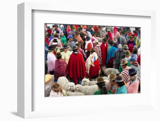 Zumbahua Animal Market, Zumbahua, Near Latacunga, Ecuador-Peter Adams-Framed Photographic Print