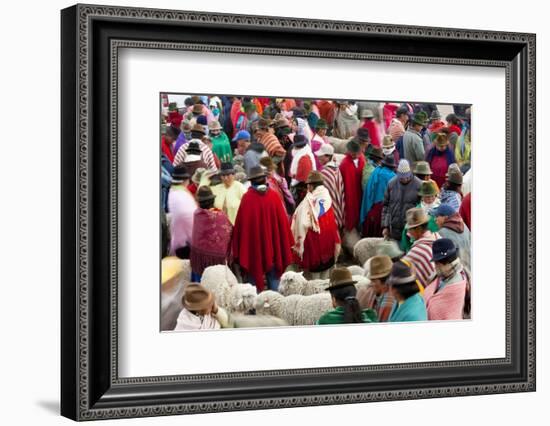 Zumbahua Animal Market, Zumbahua, Near Latacunga, Ecuador-Peter Adams-Framed Photographic Print