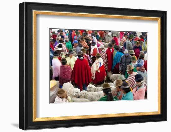 Zumbahua Animal Market, Zumbahua, Near Latacunga, Ecuador-Peter Adams-Framed Photographic Print