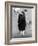 Zuni Woman, C1903-Edward S. Curtis-Framed Photographic Print